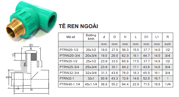 tê răng đồng - răng ngoài